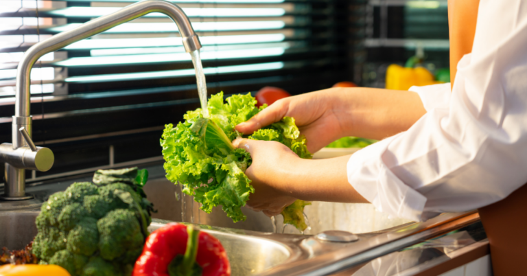 Food Safety Course: Ensuring Health and Quality in the Food Industry