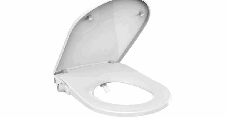 Choosing the Right Bidet Toilet and Toilet Bowl for Your Bathroom