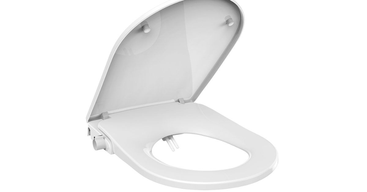 Choosing the Right Bidet Toilet and Toilet Bowl for Your Bathroom