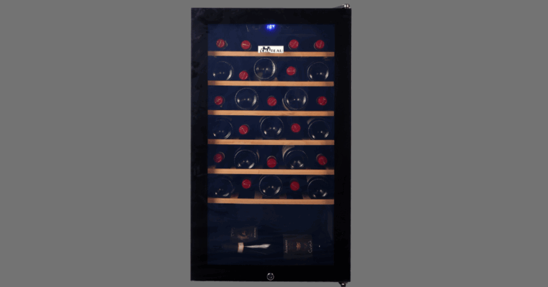 The Ultimate Guide to Wine Fridges: Everything You Need to Know