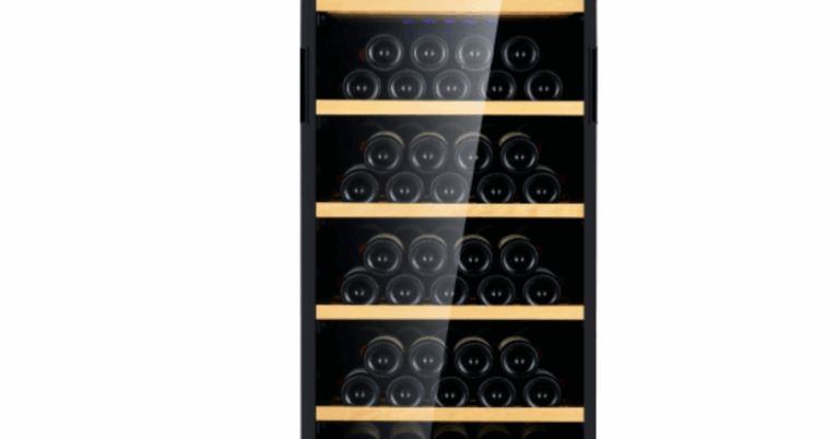 Wine Fridge Singapore: The Ultimate Guide for Wine Lovers