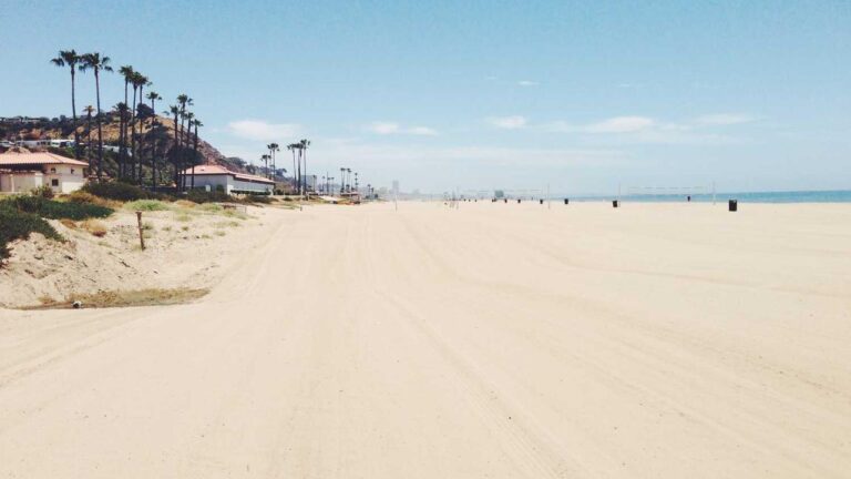 What Is The Minimum Withdrawal Limit On Cricbet99?